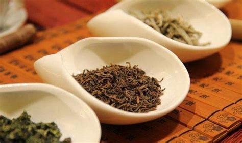 如何推广茶叶新品种,顺应市场需求