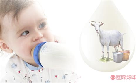 婴儿羊奶粉究竟哪个最好