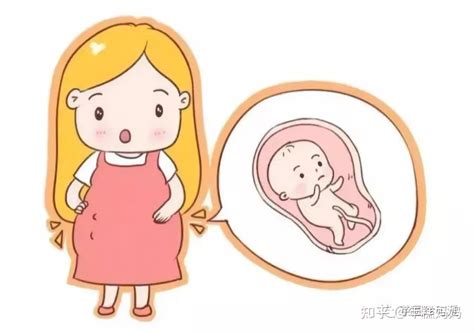 孕二十一周胎儿会脐带绕颈吗
