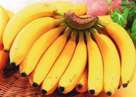 孕妇梦见吃香蕉预示着什么