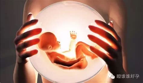 孕妇梦见胎梦全是女宝宝