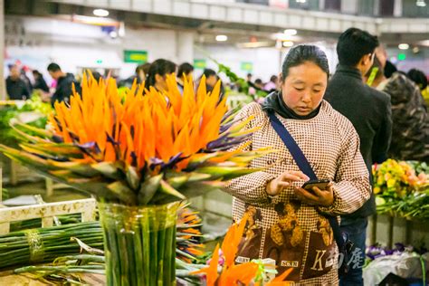 宁陵花卉市场