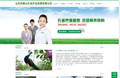 安丘企业网站