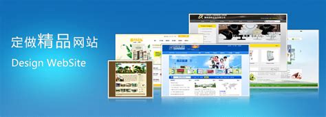 安庆专业的网站建设