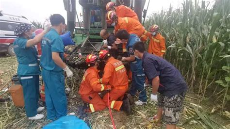 安徽玉米收割机伤人事件