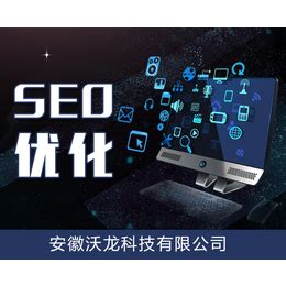 安徽seo优化专业公司