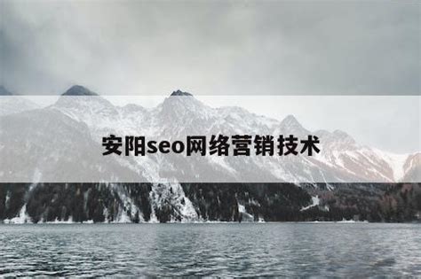 安阳seo网络营销技术