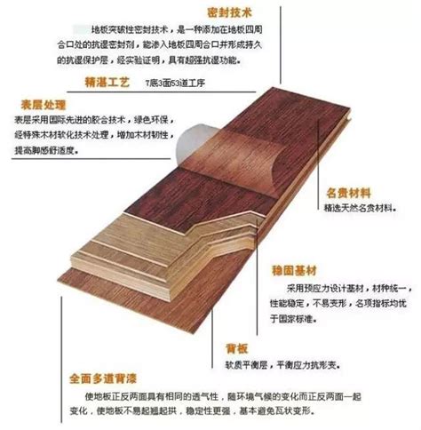 实木地板结构分层示意图