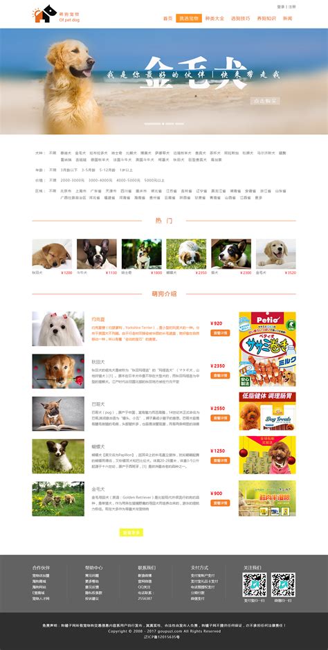 宠物狗网站设计方案
