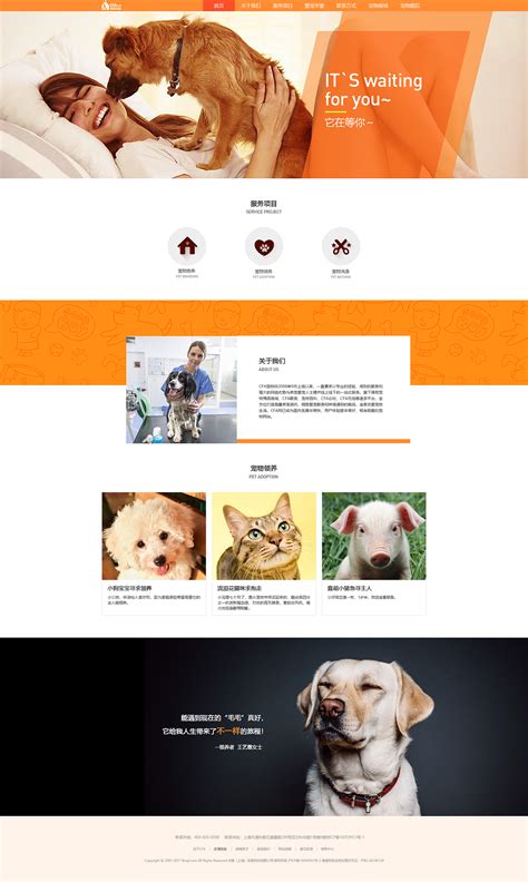 宠物网站设计的目的和意义