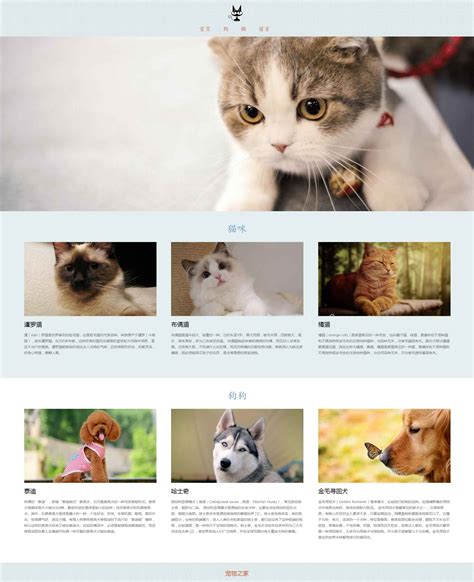 宠物网站页面设计素材图片