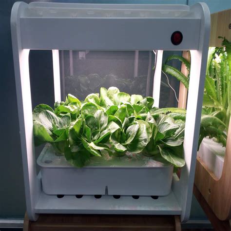 家用无土栽培蔬菜机