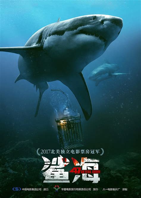 导演一个人拍鲨海电影
