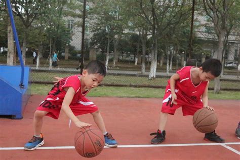 小学生篮球训练需要准备什么