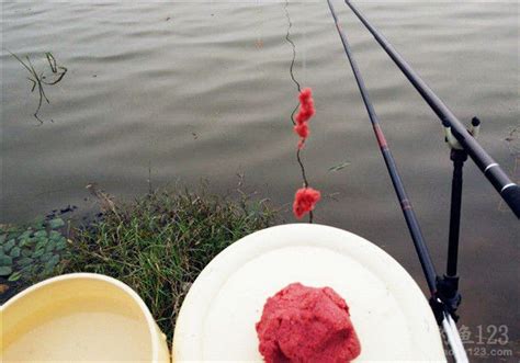 小河钓鱼用什么鱼饵料