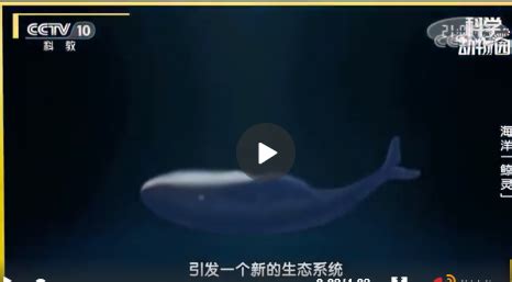 巨鲸视频