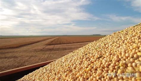 巴西买地种大豆