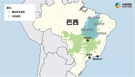 巴西大豆种植时间表