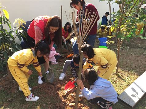 幼儿园如何组织实施植树节活动
