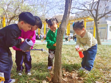 幼儿园植树节主题活动通知