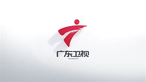 广东卫视频道