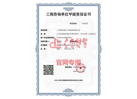 广东甲级资信项目申请报告怎么写