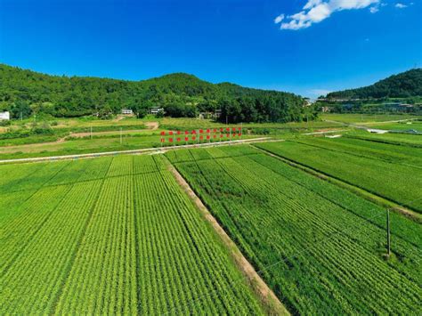 广东省高标准农田改造的质量