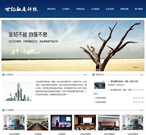 广元网站开发服务