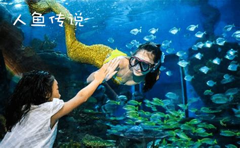 广州正佳广场海洋世界美人鱼