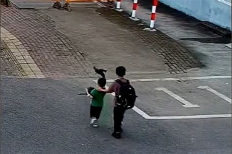 广州12岁小男孩报警