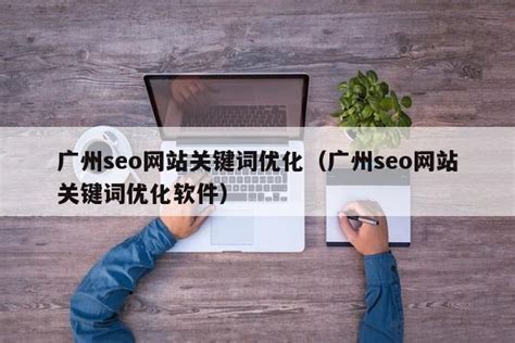 广州seo优化软件