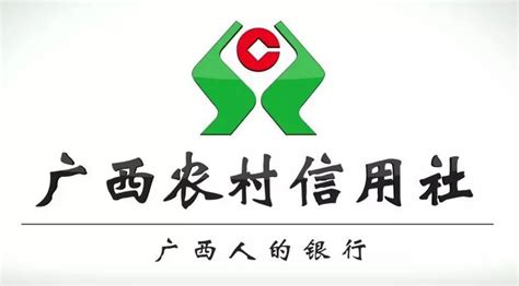 广西农村信用社流水账单图片