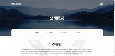 广西知名网站设计