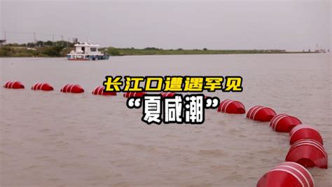 应对长江入海口咸潮的措施