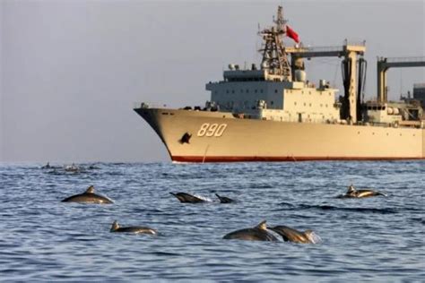 当海豚邂逅中国军舰