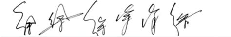 徐苗苗的艺术签名