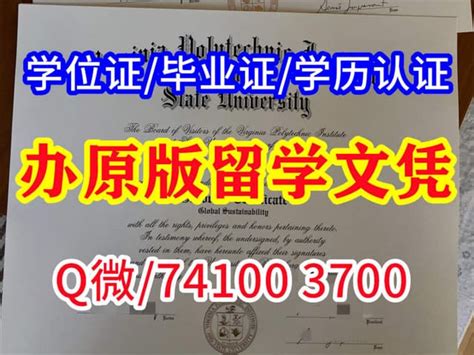 德国留学生毕业证件