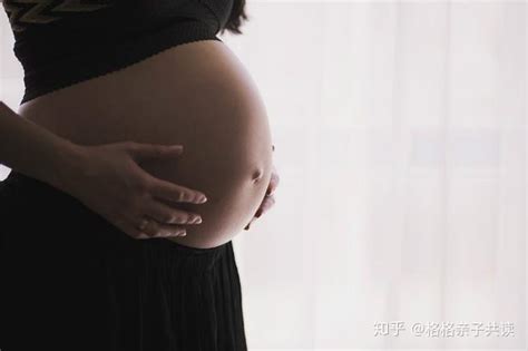 怀孕六个多月遭家暴要怎么办