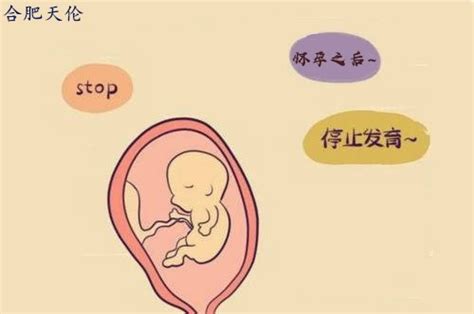 怀孕多少周容易胎停育