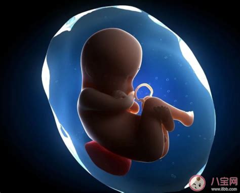 怀孕24周羊水破了胎儿能存活吗