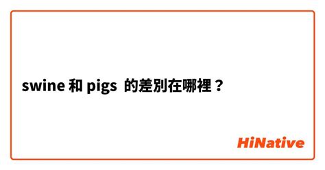 怎么区分big和pig