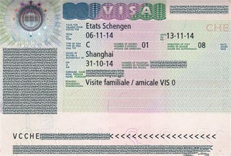 怎么申请去瑞士工作签证