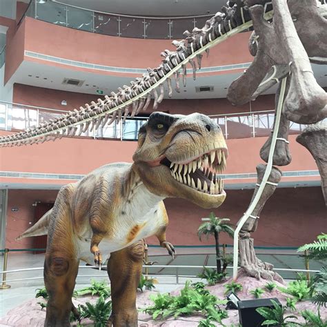 恐龙博物馆哪个城市有