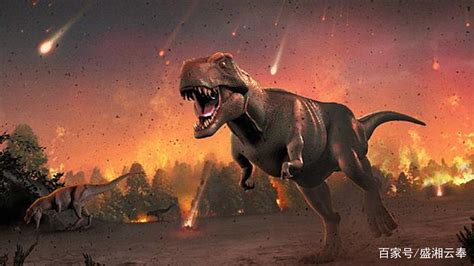 恐龙因为什么灭绝的