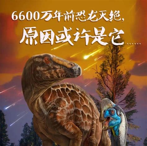 恐龙灭绝之谜搜狐视频