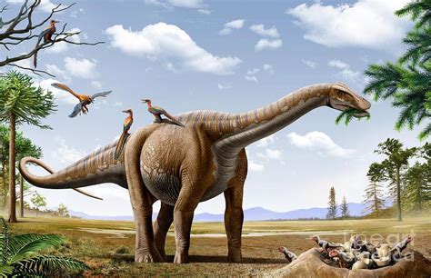 恐龙的后代有哪些动物