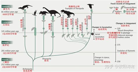 恐龙诞生的时间轴