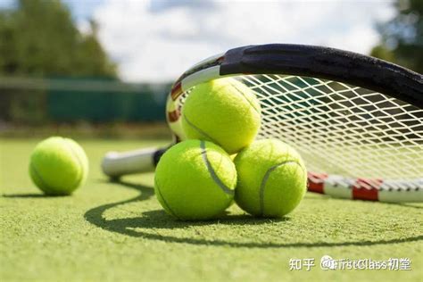 想学习打网球
