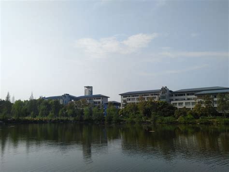 成人大学重庆有哪些