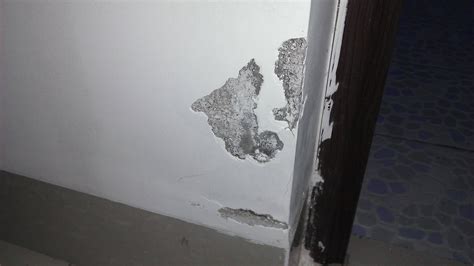 房子潮湿掉墙皮怎么处理才能根除